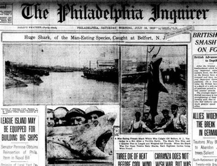 1916 Article On Shark Attacks