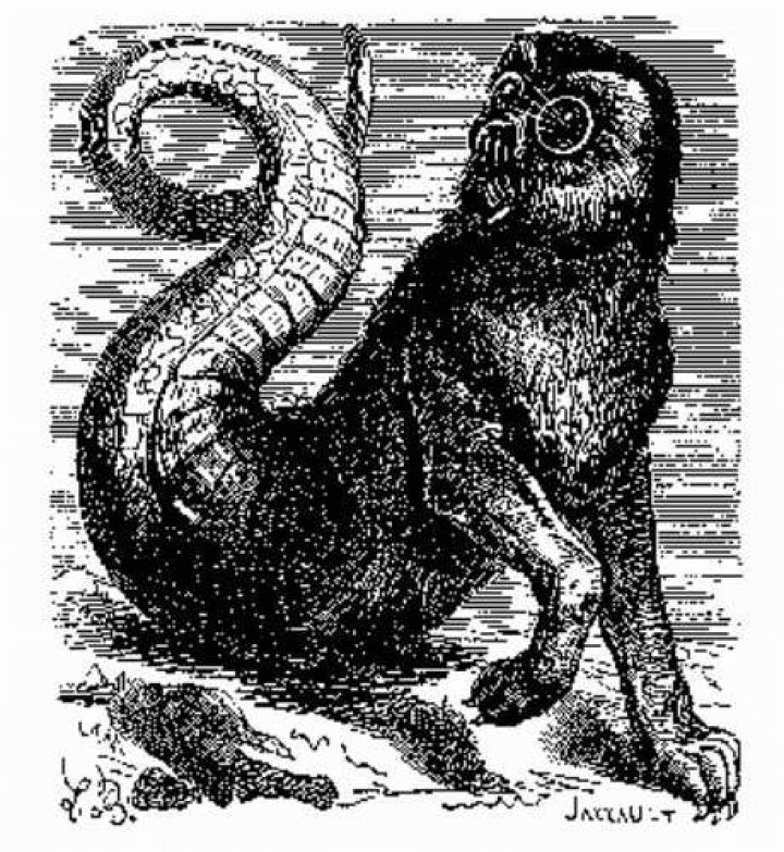 Aamon Demon