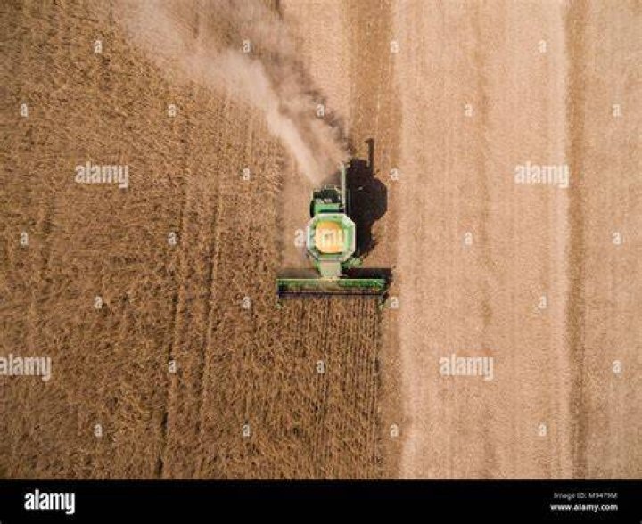 Aerial Photography Harvest