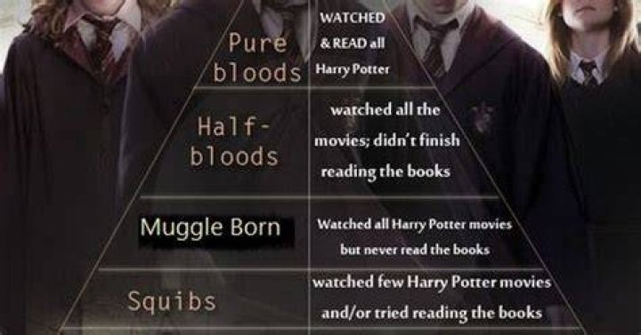 Are Harry Potter’s kids half-blood or pureblood?