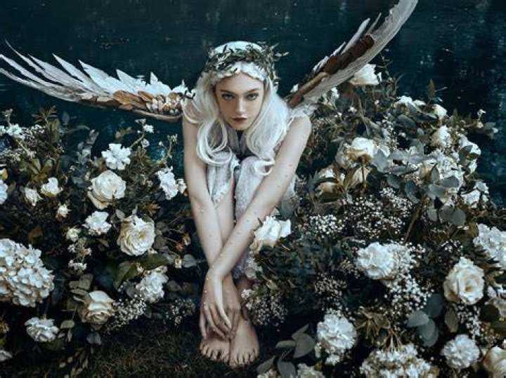 Bella Kotak