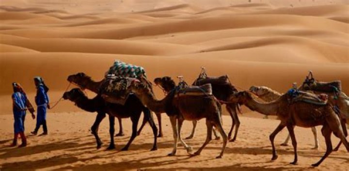 Berber Caravan