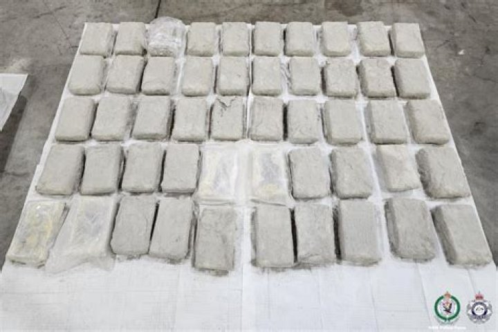 Blocks Of Cocaine With A Scorpion On Them