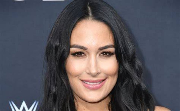 Brie Bella Reveals How Daughter Birdie is Adjusting to Being a Big Sister to Brother Buddy Dessert