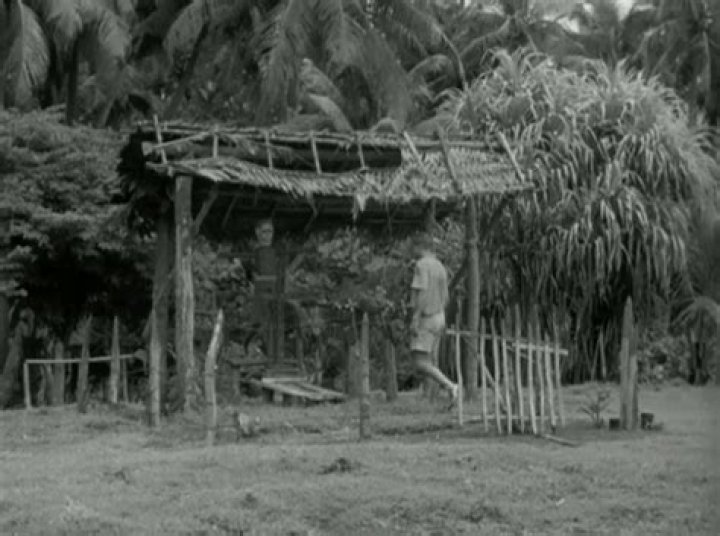 Cargo Cult Bay
