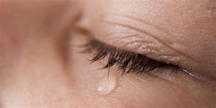 Cry