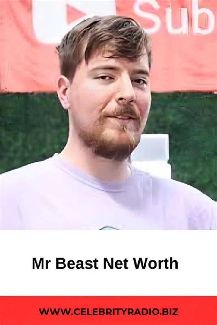 ¿Cómo contacto a MrBeast? – Celebrity.fm
