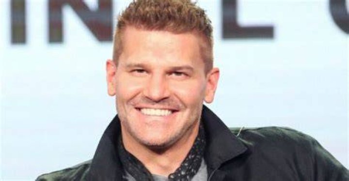 David Boreanaz’s Net Worth, Age, Height, Weight, Wife, Kids, Bio-Wiki