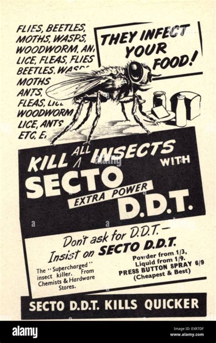 DDT Polio Life Magazine