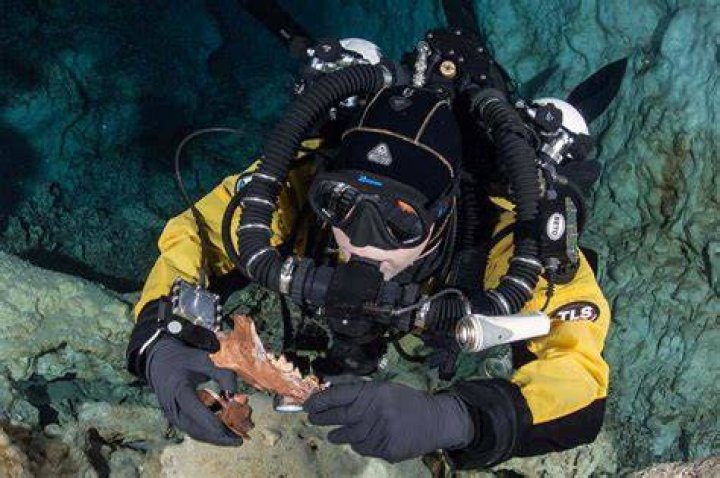 Diver With Protocyon Jaw And Vertebra