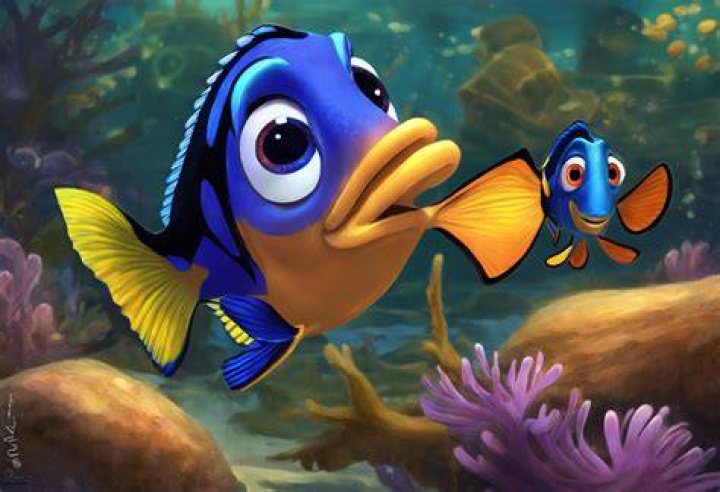Does Dory have ADHD?