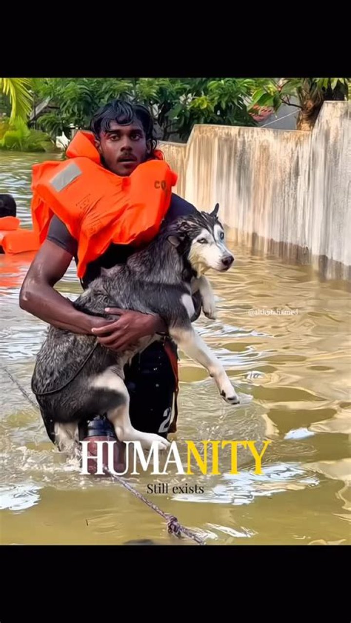 Dog Carrying Human Head