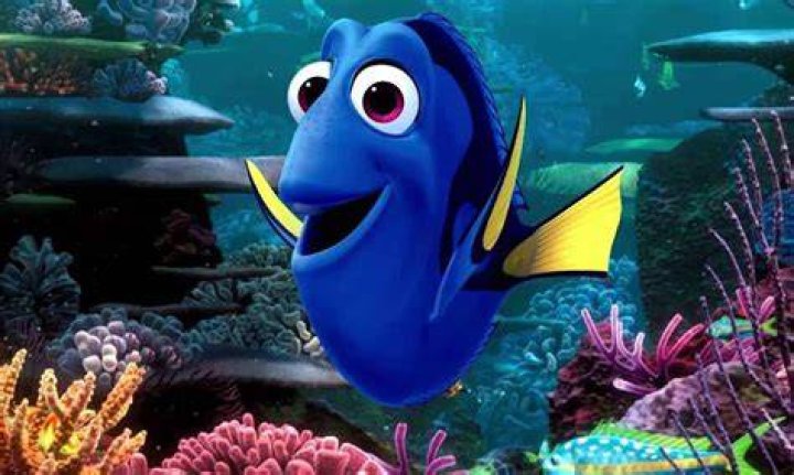 Dory de Procurando Nemo é menino ou menina?