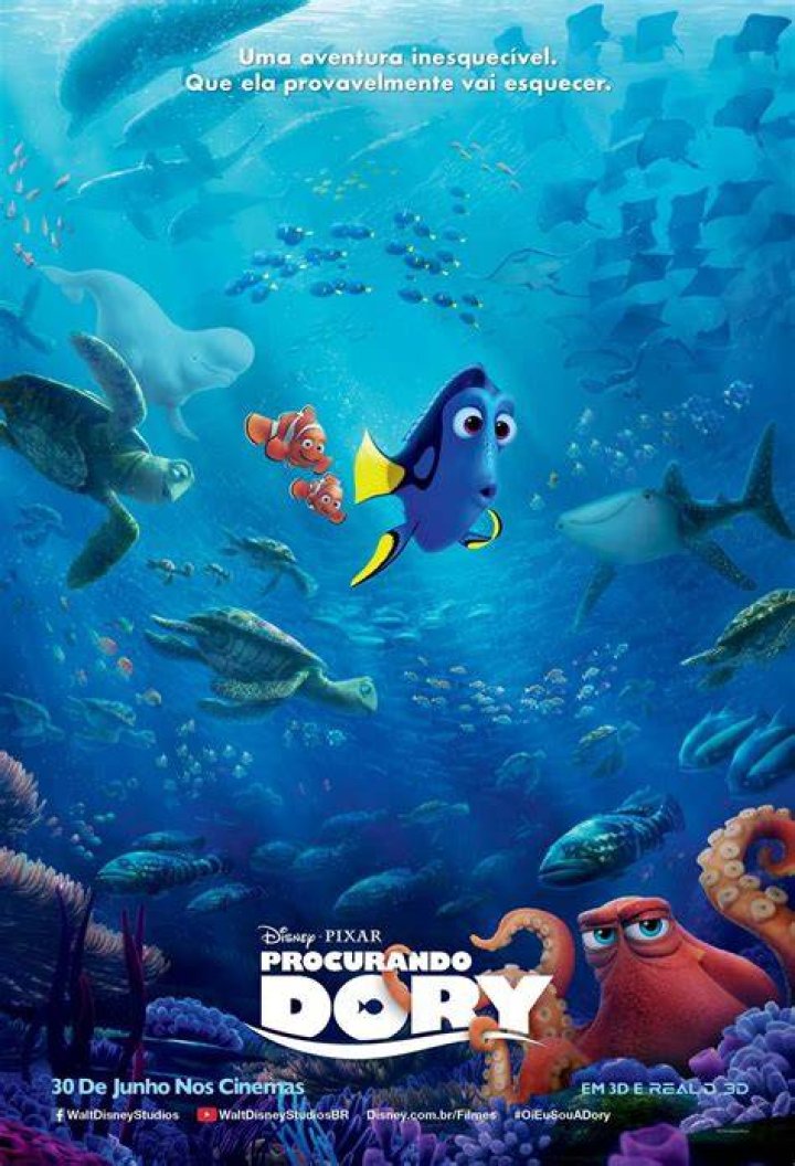 Dory de Procurando Nemo é menino ou menina?