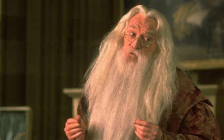 ¿Dumbledore usó la piedra filosofal?