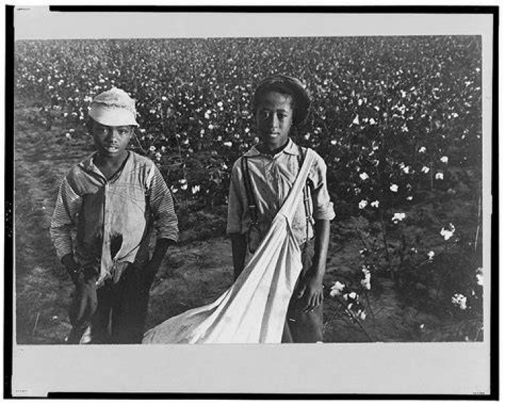 Great Depression Photos Cotton Pickers