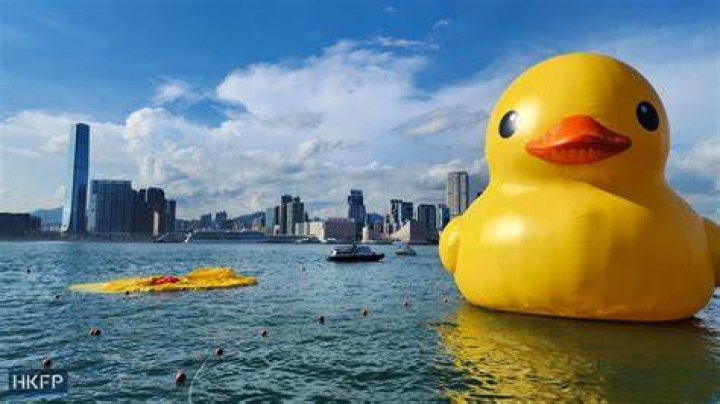 Hong Kong Duck