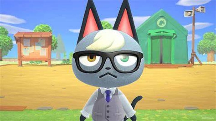 How do you get Raymond fast in Animal Crossing?