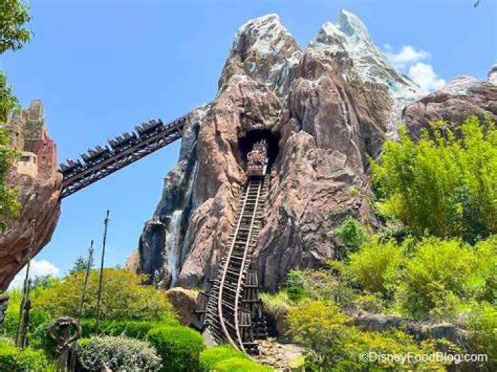How many roller coasters are in Animal Kingdom?