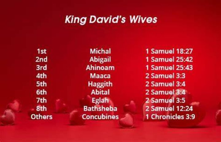 How many wives King David had?