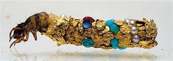 Hubert Duprat Caddis Fly Cases