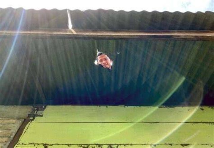 Hutagalung Looking Through Roof