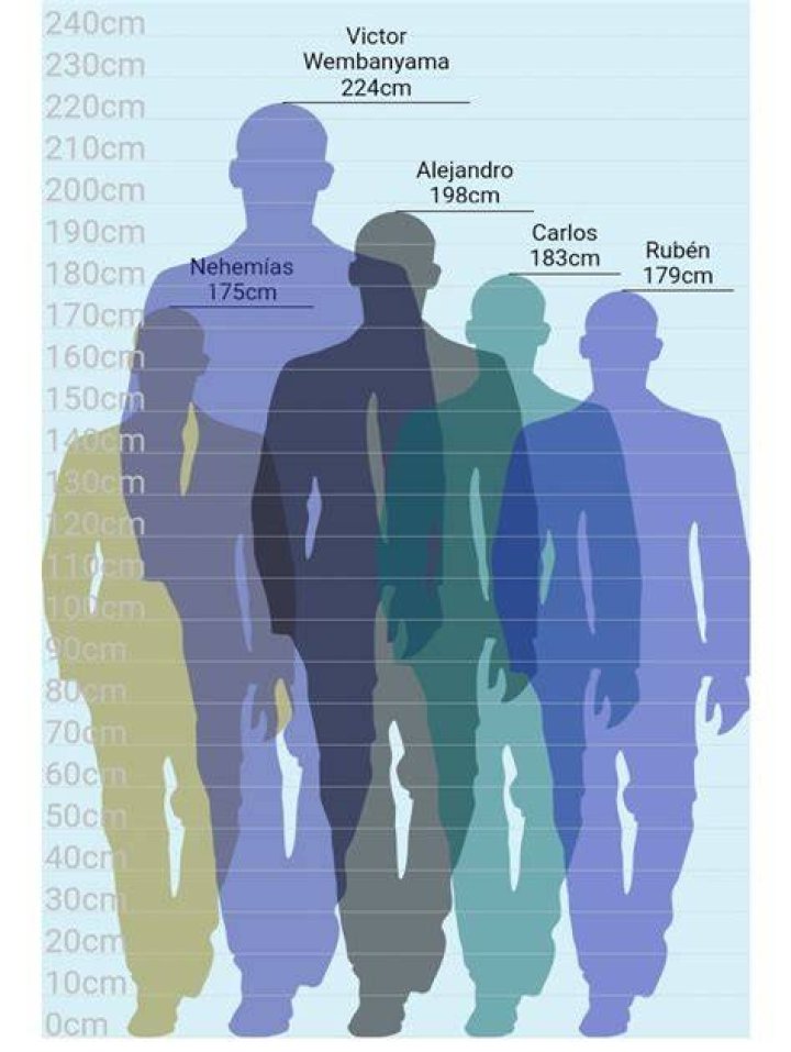 ¿Qué altura mide 5/2 cm?