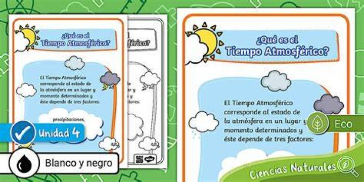 ¿Qué es el pájaro de Disney?