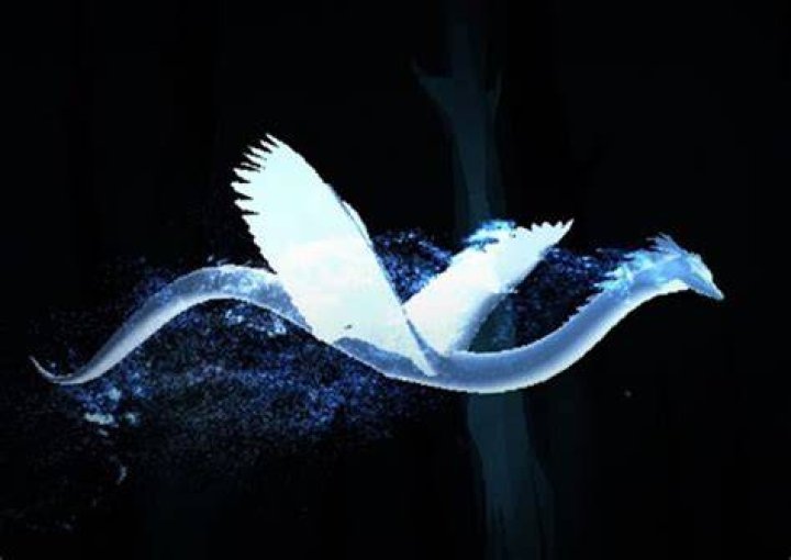 Is an Occamy a rare Patronus?