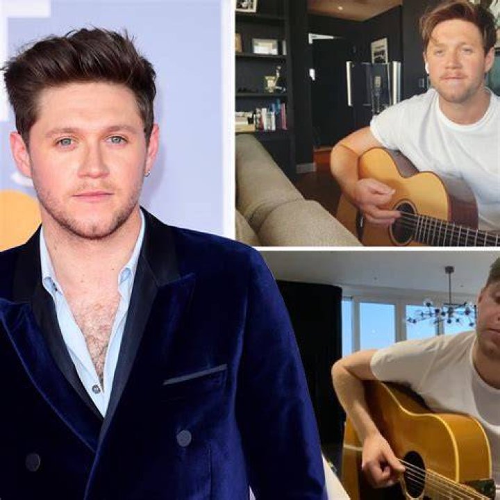 Is Niall Horan Single? Inside The Voice Coach s Love Life From Selena Gomez to GF Amelia Woolley 375
