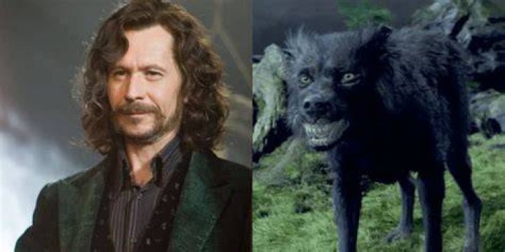 Is Sirius Black a wolf?