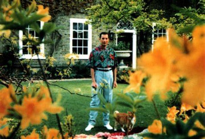 Last Known Photographs Freddie Mercury