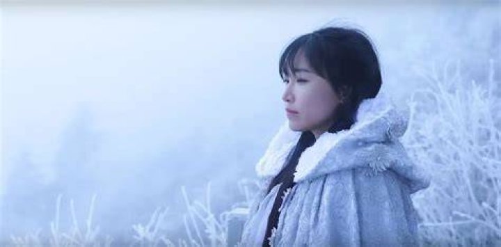 Li Ziqi Biography, Age, Height, Husband, Net Worth, Family