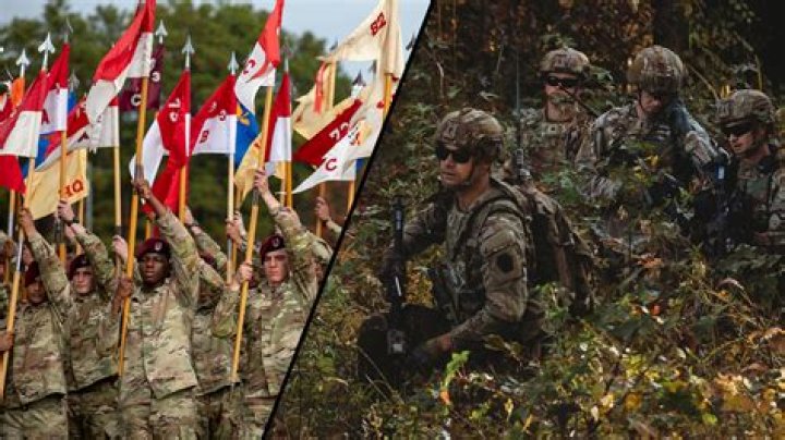 Many Soldiers