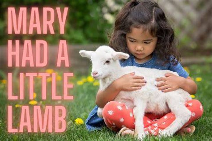 Mary And Her Lamb