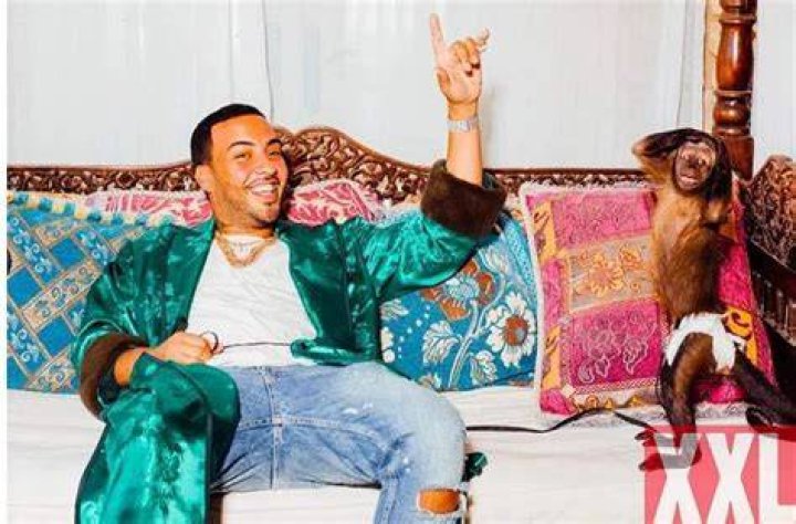 Meet Julius Caesar, French Montana's New Pet Monkey