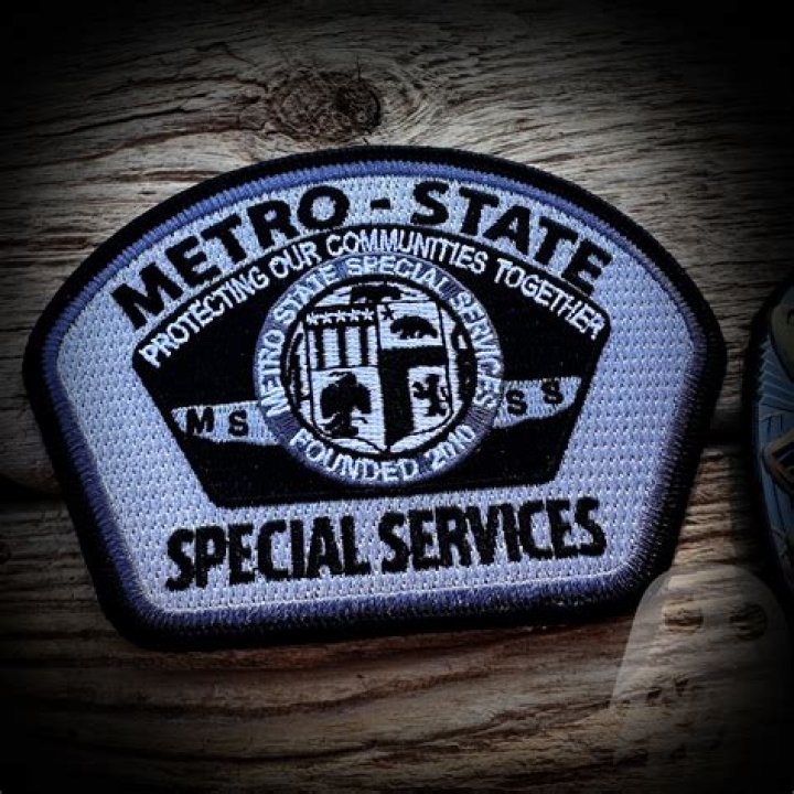 Metro State Special Services