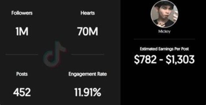 Mickeyngx estimated TikTok earning
