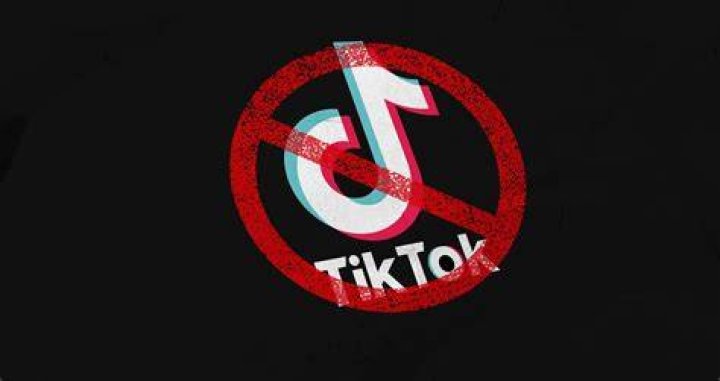 Nadia Chang Controversy (TikTok Ban Violation News)