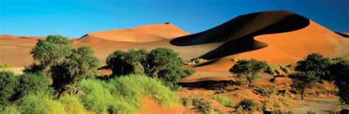 Namibia Desert