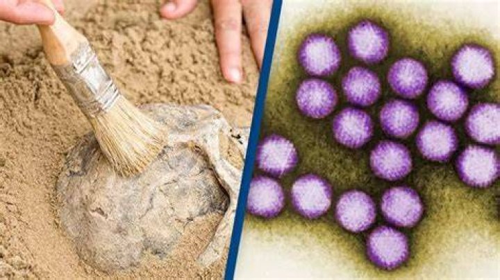 Oldest Known Human Virus