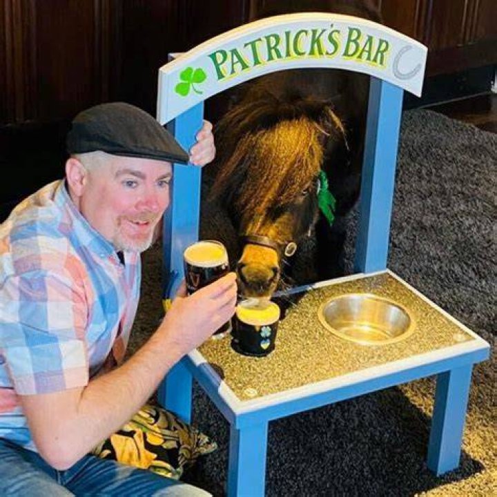 Patrick The Pony Drinking A Beer