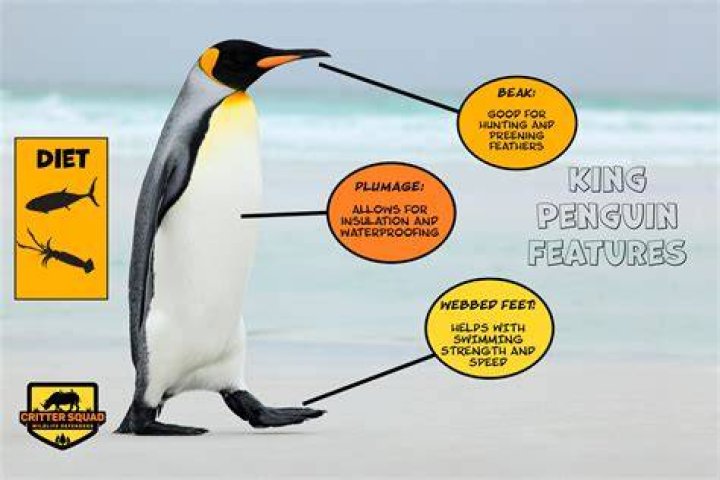 Penguin Facts