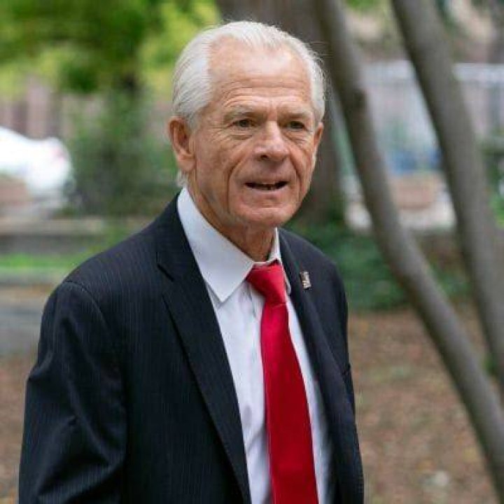 
Peter Navarro Net Worth: How Rich Is He? Explore His Controversy And Legal Issues 