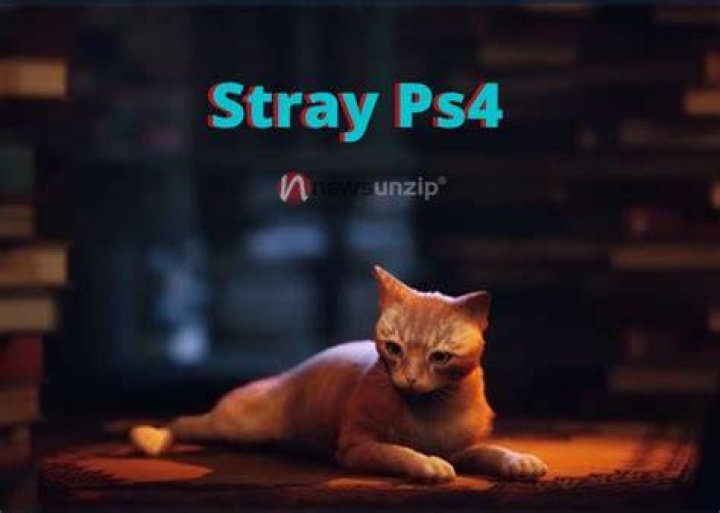 PS4, PS5, Xbox, Price, PC System Requirements, Time, Gameplay & More