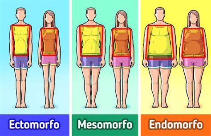 ¿Qué es una hembra mesomorfa? – Celebrity.fm