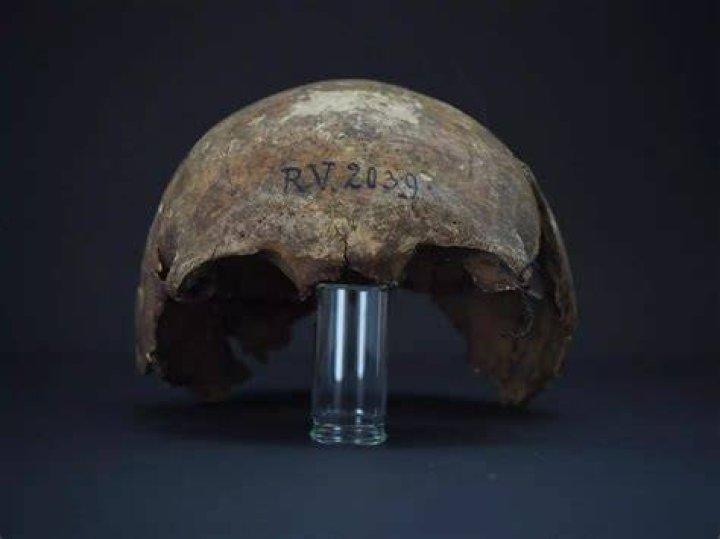 Rv 2039 Skull