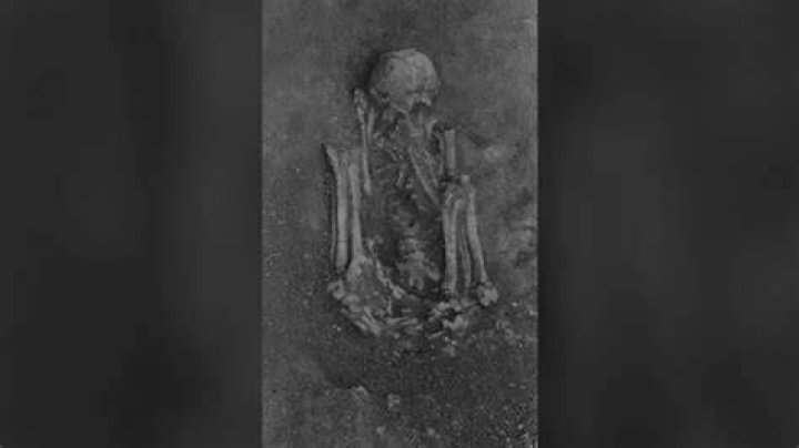 Sado Valley Mummy