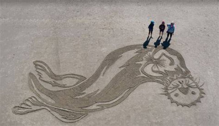 Sand Art Contest
