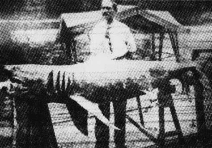 Schleisser With Shark